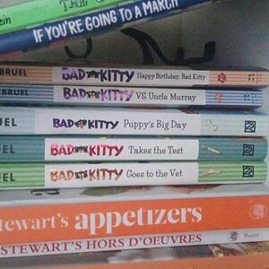 Bad Kitty Book Graphic Novel Takes the Test Nick Bruel 2017